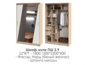 шкаф-купе ПШ-2.9 1500 Норд Белый жемчуг 1500 в Качканаре - kachkanar.magazin-mebel74.ru | фото