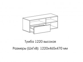 Тумба 1220 (высокая) в Качканаре - kachkanar.magazin-mebel74.ru | фото